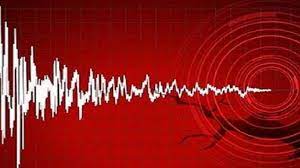 Earthquake in Delhi NCR: दिल्ली में महसूस किए गए भूकंप के तेज झटके, घरों से बाहर निकले लोग