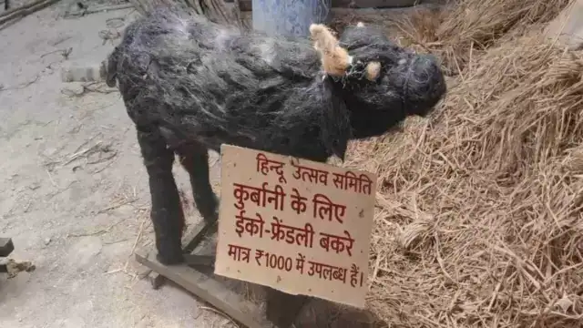 बकरीद के लिए किसने तैयार करा दिए ‘इको फ्रेंडली बकरे’, कहा- होली, दिवाली की तरह